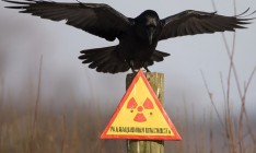 В Швеции заявили, что взрыв на Чернобыльской АЭС был ядерным