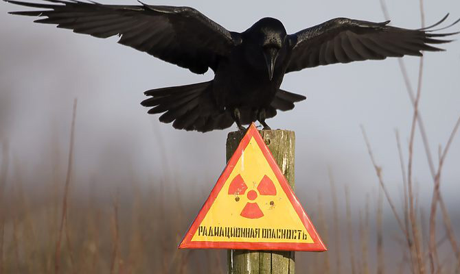 В Швеции заявили, что взрыв на Чернобыльской АЭС был ядерным