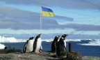 В Украине на экспедицию в Антарктиду потратят 45 млн гривен