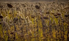 Рада забрала дотации у аграриев