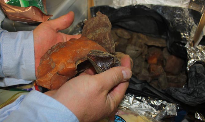 Гражданин Турции пытался вывезти из Украины янтаря на $60 тысяч