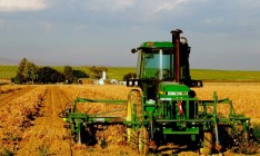 В Украине сократилось сельхозпроизводство