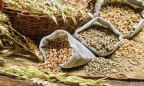 Украина увеличила экспорт пшеницы в страны Ближнего Востока почти на 50%