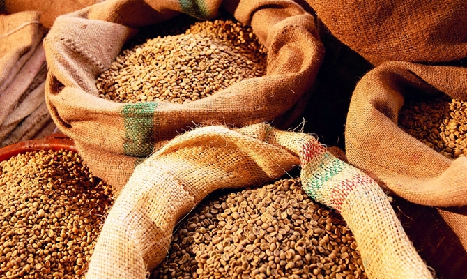 «Аграрный фонд» законтрактовал 666 тыс. тонн зерновых на 2,9 млрд грн