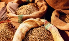«Аграрный фонд» законтрактовал 666 тыс. тонн зерновых на 2,9 млрд грн