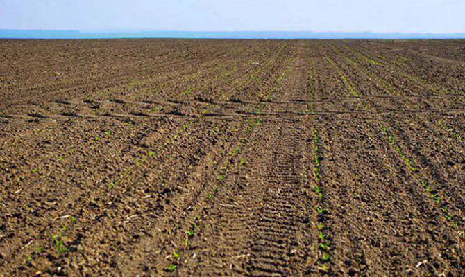 Госгеокадастр: В 2017 году стоимость аренды госземель на торгах выросла до рекордной