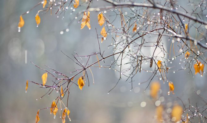 Декабрь-2017 в Киеве стал одним из самых теплых за 136 лет