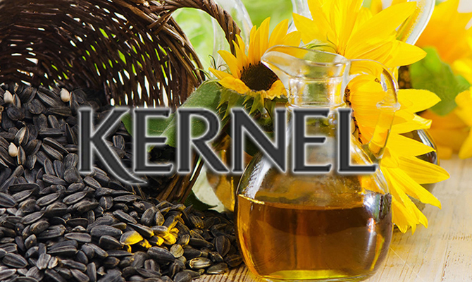 ГФС проверит документы крупнейшего экспортера подсолнечного масла