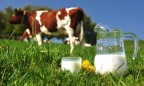 Минагрополитики отложило ведение нового стандарта для молока