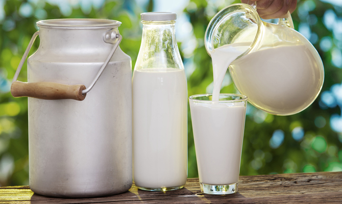 Закупка молока у населения будет продолжаться, – Минагропрод