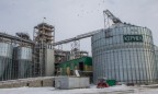 Через элеваторы «Кернел» и «Нибулон» незаконно экспортируют «черное зерно», - СМИ