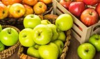 Украина увеличила экспорт яблок в Европу в 9 раз