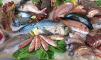 Украина импортирует 80% потребляемой рыбы, – замминистра