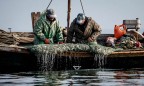 Украина и РФ поделили лимиты на улов рыбы в Азовском море
