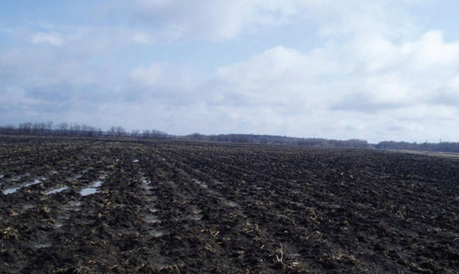 Семь ОТО получили в собственность земли сельхозназначения