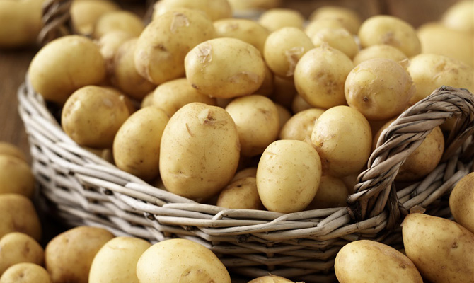 Украина экспортировала в Беларусь картофеля на $2,6 млн