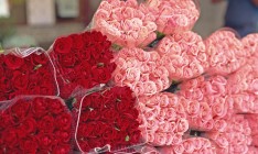 Украина нарастила импорт цветов на четверть