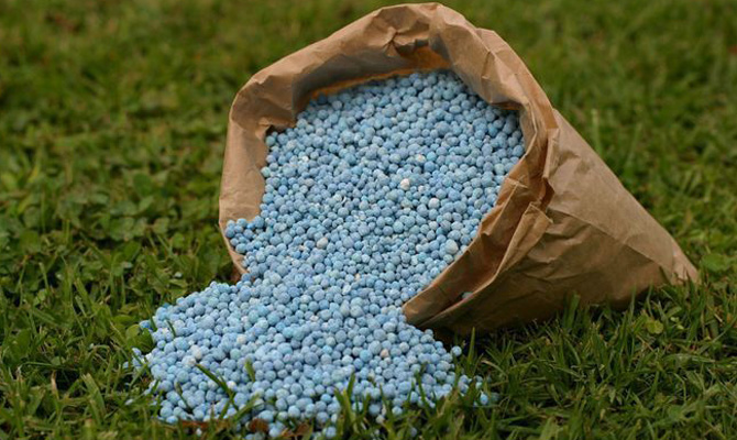 Кабмин временно ограничил импорт российских минудобрений
