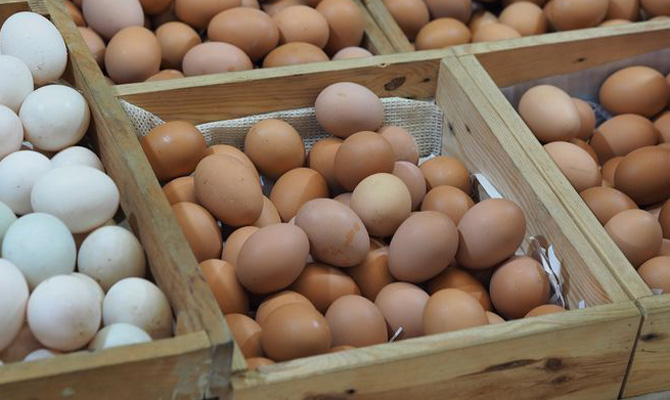 «Авангард» сократил чистый убыток в 2,2 раза