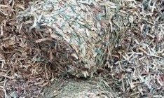 За год НБУ утилизировал почти на 50 млрд гривен изношенных банкнот