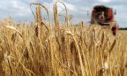 Швейцарская агрокомпания решила открыть в Украине представительство