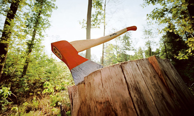 Рада одобрила мораторий на рубку леса на склонах Карпат