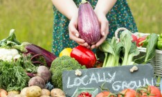 Рада одобрила введение европейских требований к органическим продуктам