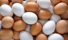 Овостар увеличила экспорт яиц почти на 70%