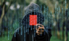 В США подтвердили: 21 штат пострадал от хакерских атак РФ накануне выборов