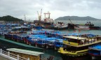 Украинский порт во Вьетнаме выплатит дивиденды за 2017 год