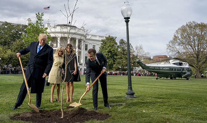С лужайки Белого дома пропал посаженный Макроном и Трампом дуб