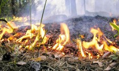 У военного полигона в Черниговской области загорелся лес