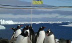 Украина хочет запустить новые международные проекты в Антарктиде