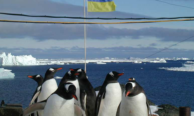 Украина хочет запустить новые международные проекты в Антарктиде