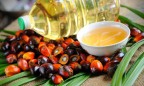 Рада одобрила введение запрета на использование пальмового масла