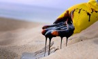 ОПЕК может увеличить объем добычи нефти