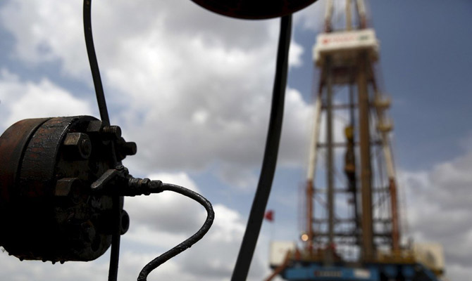 Госгеонедр выставит на аукцион 20 месторождений на шельфе до конца лета