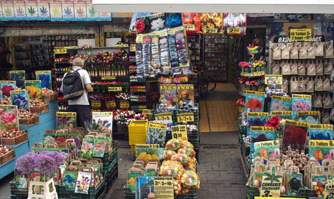 Аграрный товарооборот между Украиной и Нидерландами вырос на 69%