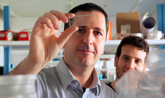 Искусственное мясо подешевело и просится на наши тарелки