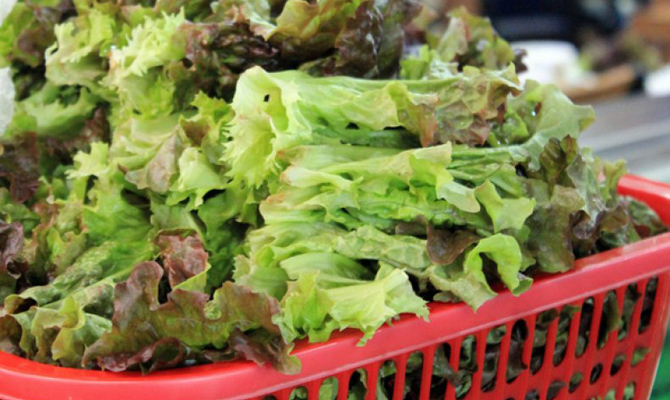В США пять человек умерли от отравления салатом
