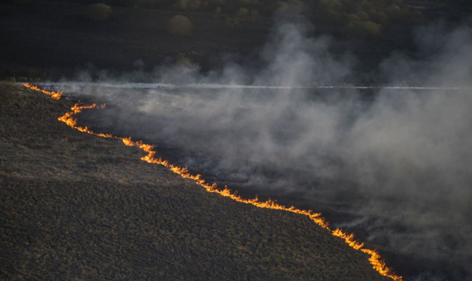 Полиция открыла производство по факту пожара в зоне ЧАЭС