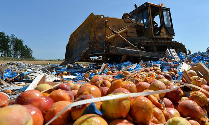 В России уже уничтожили более 25 тысяч тонн «санкционных» продуктов