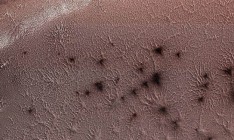 NASA показало фотографию «марсианских пауков»