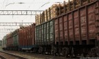 Украина бьет рекорды по экспорту в ЕС незаконной древесины