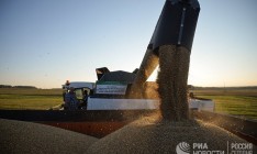 В Крыму собрали только половину от прошлогоднего урожая