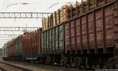 Депутаты отменили мораторий на экспорт леса-кругляка