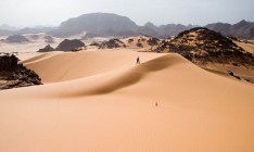 Ученые придумали, как озеленить Сахару и остановить глобальное потепление