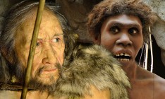 Ученые выяснили, зачем предки людей скрещивались с неандертальцами