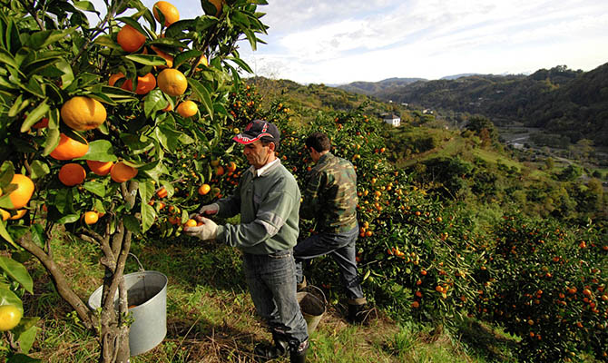 Правительство Испании снизило прогноз роста ВВП страны