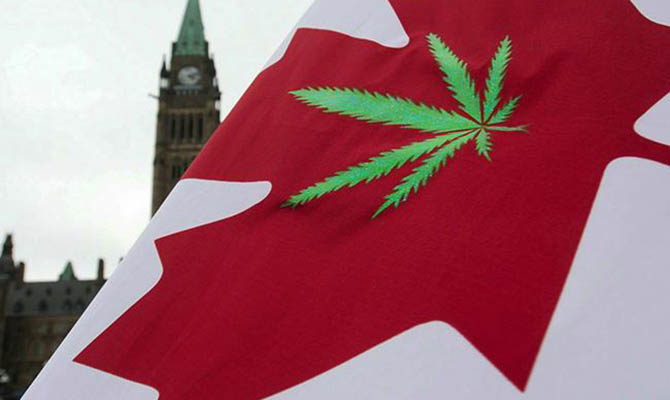 Продажи марихуаны в Канаде в первый день составили не менее $1,4 млн